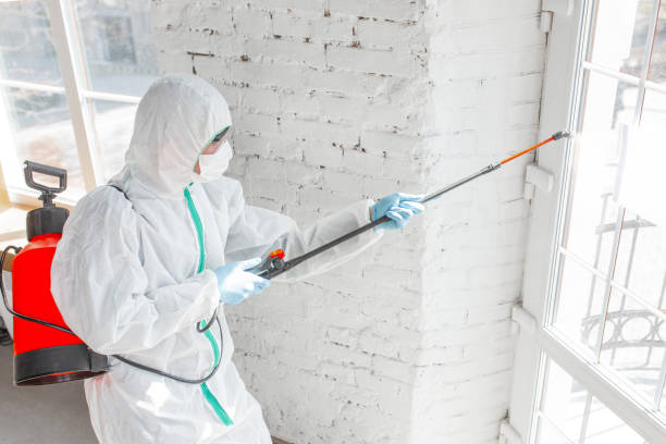 Best Biohazard Mold Removal  in Holladay, UT