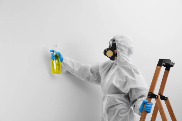 Best Forensic Mold Investigation  in Holladay, UT