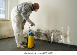 Reliable Holladay, UT Mold Removal & Remediation Solutions